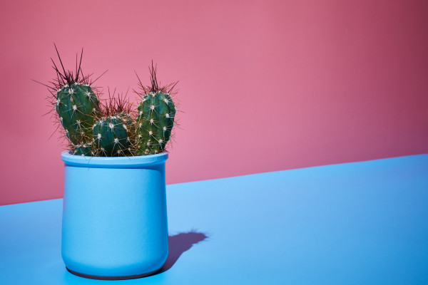 [object Object] undefined