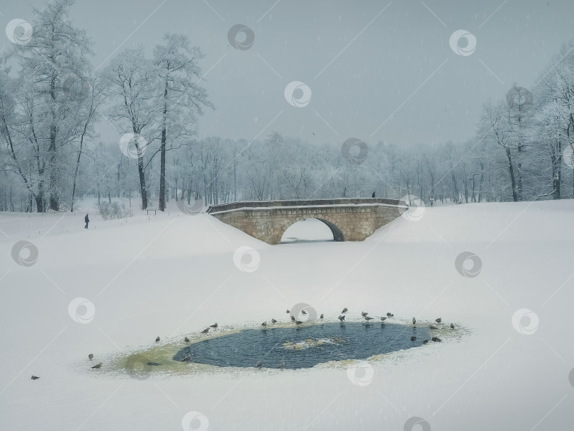 Скачать Зимний день в городском парке. Прогулка в метель. фотосток Ozero