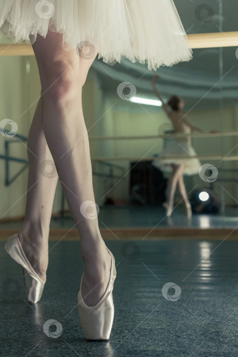 Скачать Длинные ноги балерины в подковах фотосток Ozero