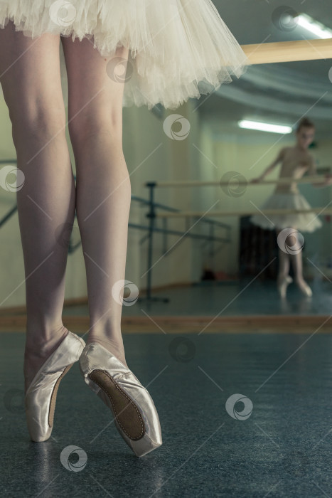 Скачать Длинные ноги балерины в подковах фотосток Ozero
