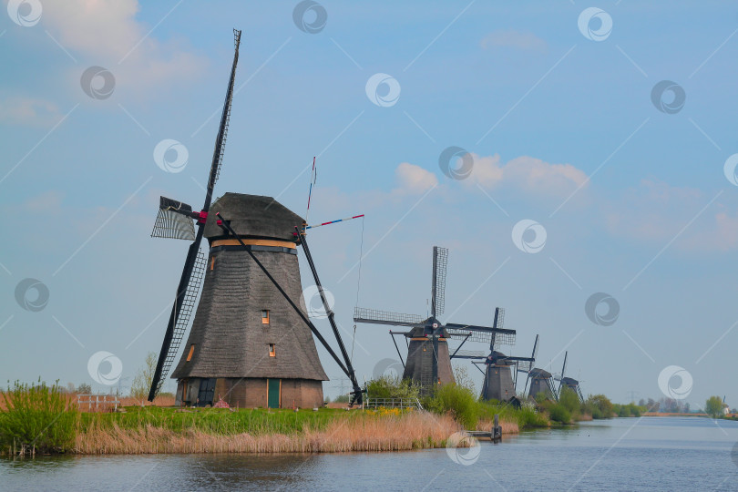 Скачать Киндердейк Нидерланды фотосток Ozero