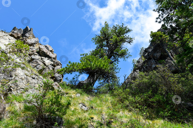 Скачать Горный пейзаж фотосток Ozero