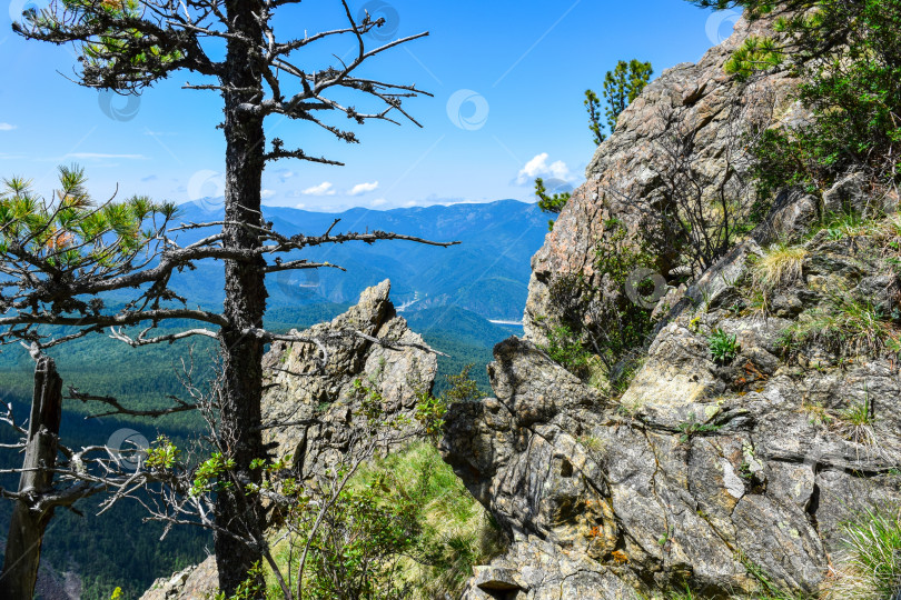 Скачать Горный пейзаж фотосток Ozero