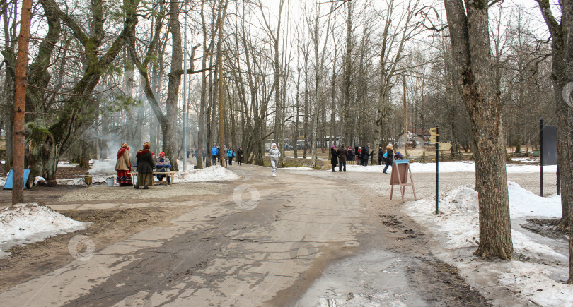 Скачать Люди на тропинке между деревьями. фотосток Ozero