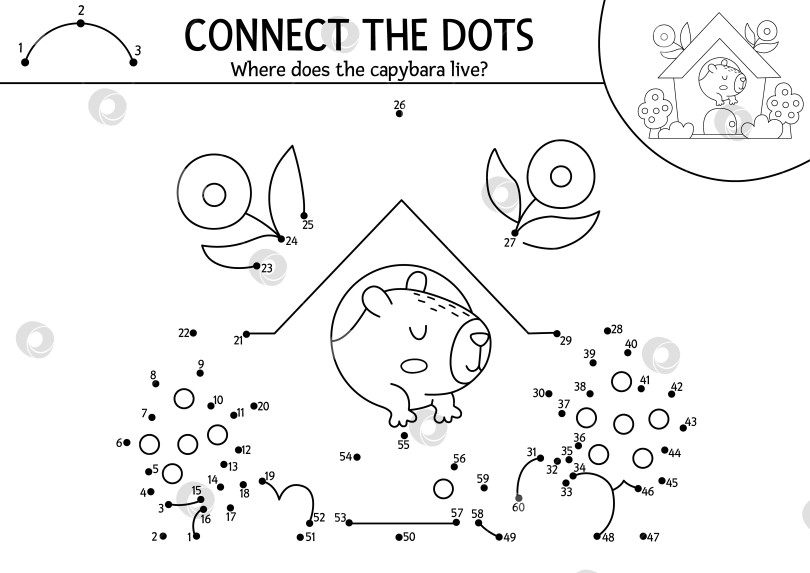 Скачать Векторная линия, изображающая капибару от точки к точке, и раскраска с милым животным, выглядывающим из окна в доме с цветами. Простая черно-белая игра "Соедини точки", раскраска для детей фотосток Ozero