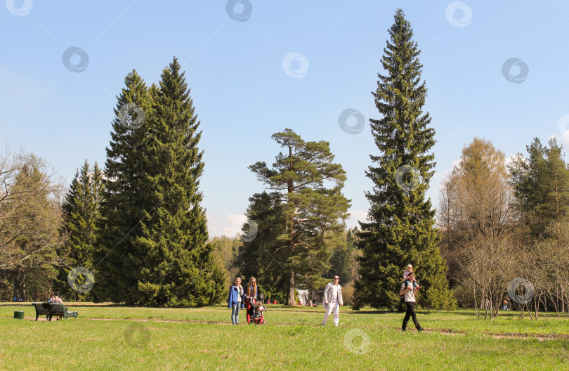 Скачать Люди в парке. фотосток Ozero