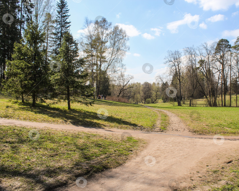 Скачать Перекресток троп в парке. фотосток Ozero