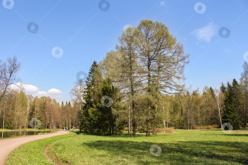 Скачать Весна в парке. фотосток Ozero