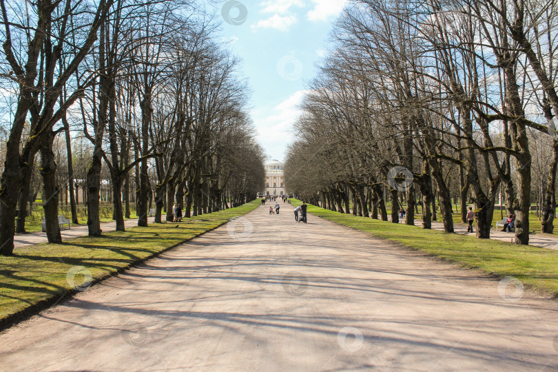 Скачать Центральная дорога в парке. фотосток Ozero