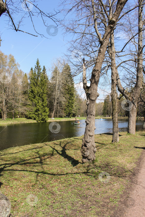 Скачать Водоемы в парке. фотосток Ozero