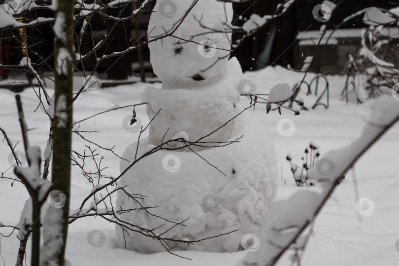 Скачать снеговик фотосток Ozero