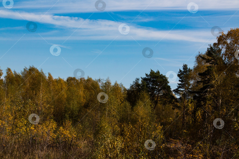 Скачать осенний пейзаж фотосток Ozero