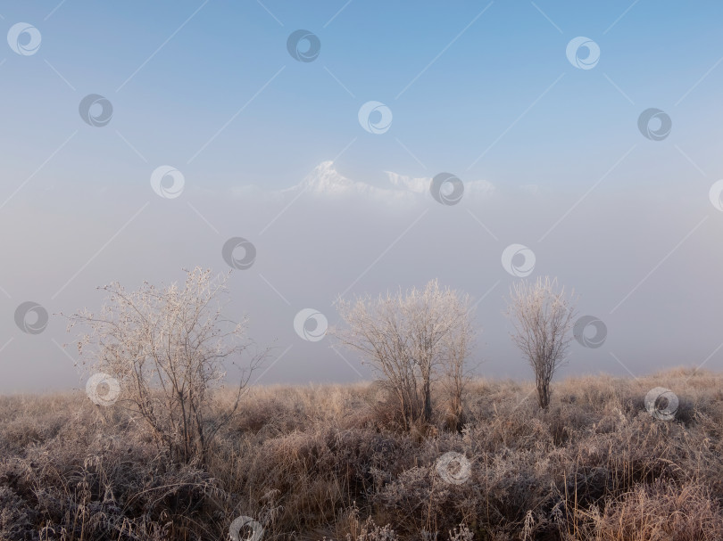 Скачать Прекрасное солнечное туманное утро в горах фотосток Ozero