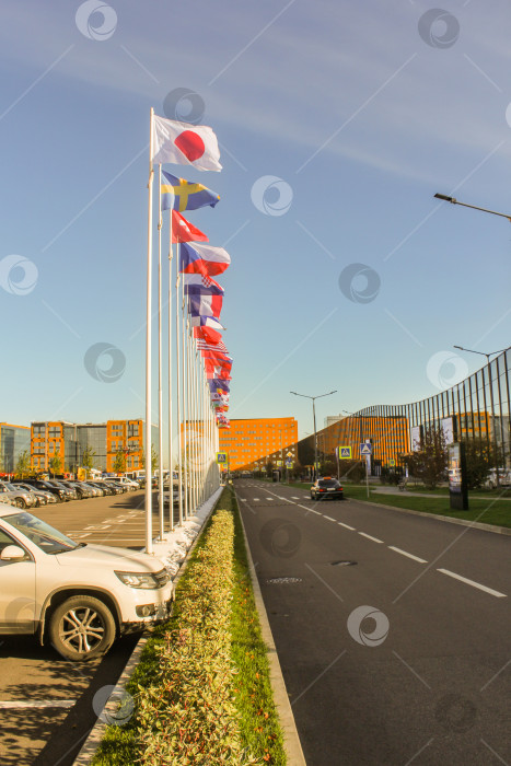 Скачать флаги разных стран вдоль дороги фотосток Ozero