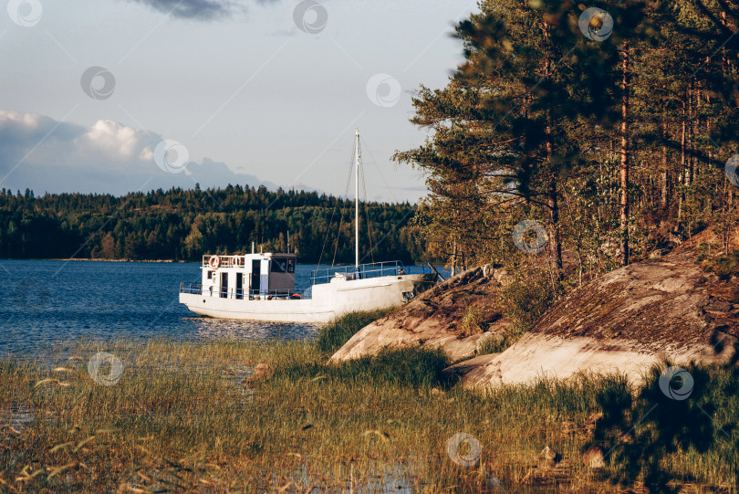 Скачать Стоянка яхт в морском порту, катера на воде, озеро, пейзажная пристань для яхт, Ладожские шхеры, Карелия фотосток Ozero