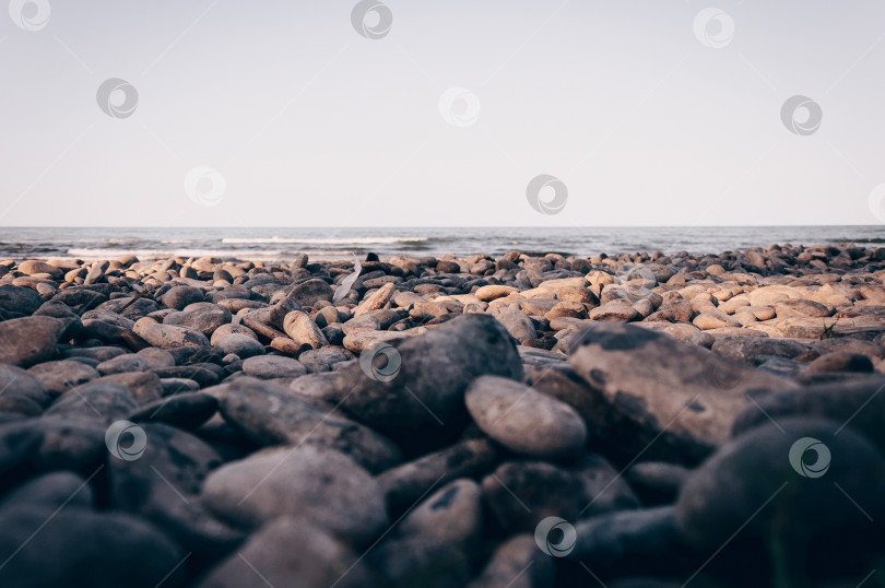 Скачать Галечный пляж на фоне моря, туманный летний день фотосток Ozero
