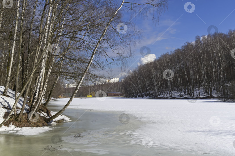 Скачать Пруд в начале апреля, солнечный день. фотосток Ozero