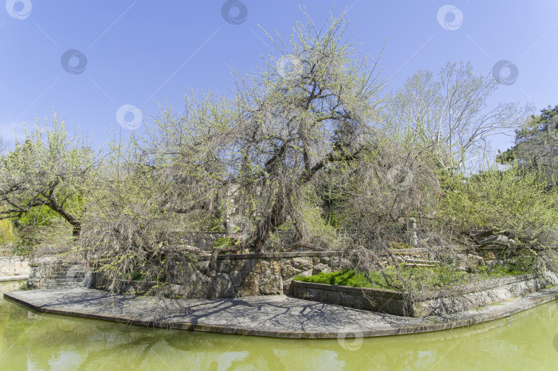 Скачать Пруд в парке курортного отеля. Крым. фотосток Ozero