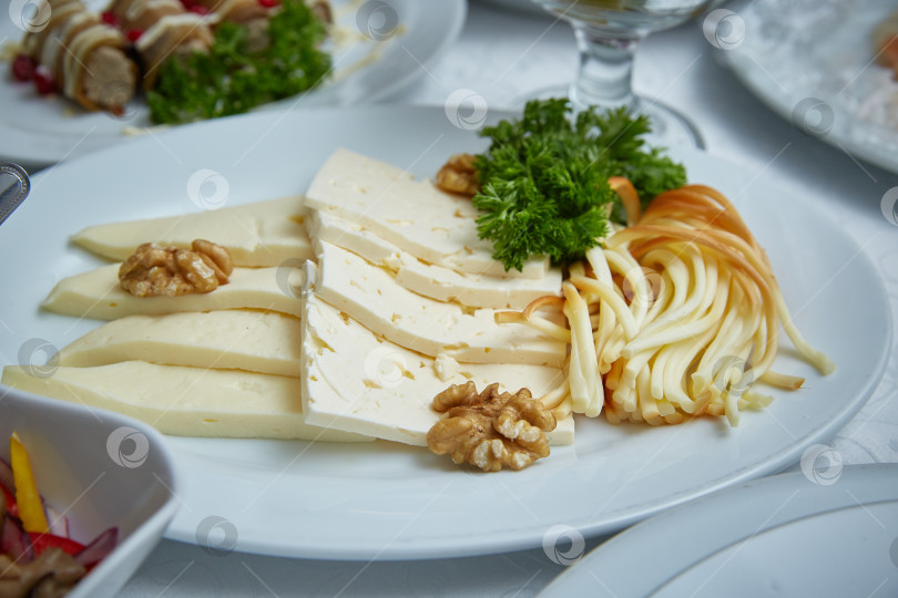 Скачать Разные сорта сыра. Сырная тарелка в ресторане с разными сортами сыра, украшенная зеленью и грецкими орехами. фотосток Ozero