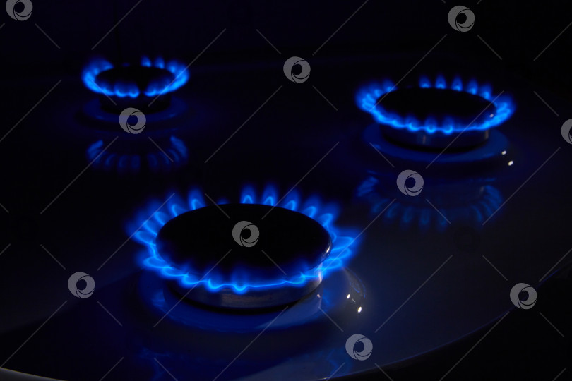 Скачать Газ. Горящая синим пламенем кухонная плита. газовая кухня. фотосток Ozero