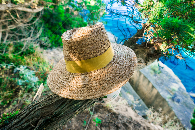 Скачать Соломенная шляпа на дереве. фотосток Ozero