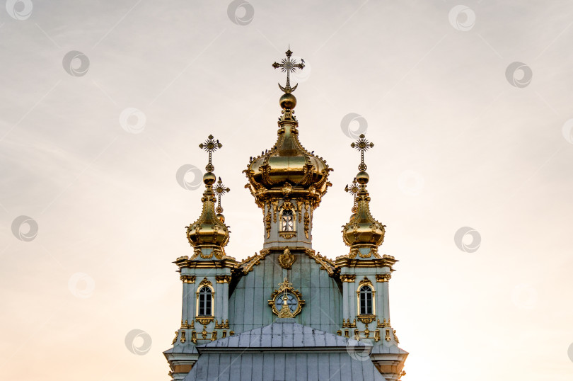 Скачать Петергоф, Россия, Купол православной церкви и христианский крест, Культовое сооружение фотосток Ozero