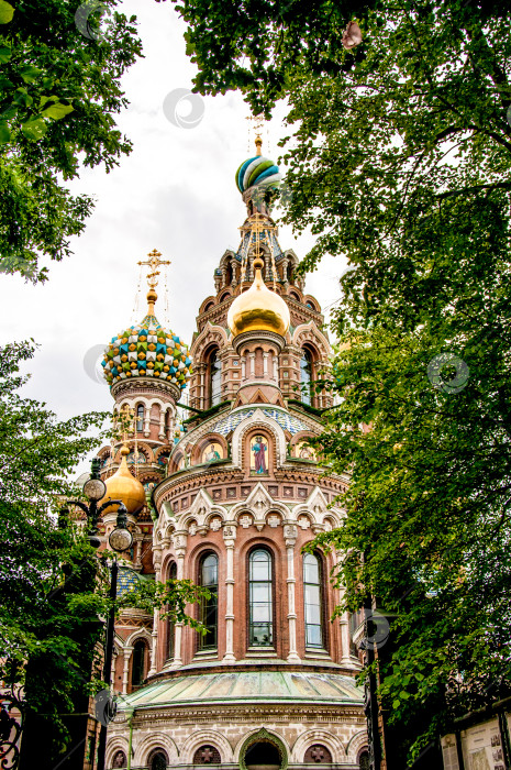 Скачать Санкт-Петербург, Россия, 1 августа 2015 года, храм Спаса-на-Крови фотосток Ozero
