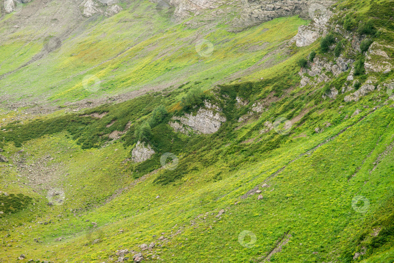 Скачать Горы с альпийскими лугами в Сочи. Красная Поляна. фотосток Ozero