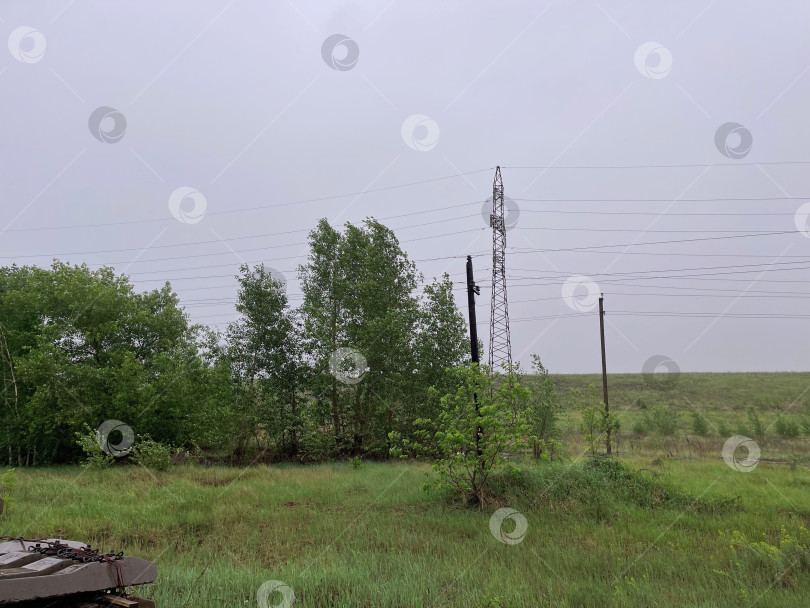 Скачать летом сильный ветер в поле гнет зеленые деревья и траву фотосток Ozero