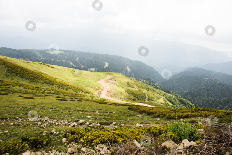 Скачать Горы с альпийскими лугами и зеленым лесом в Сочи. фотосток Ozero