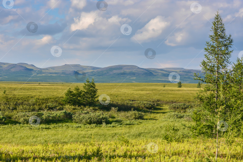 Скачать Предгорная тундра. фотосток Ozero