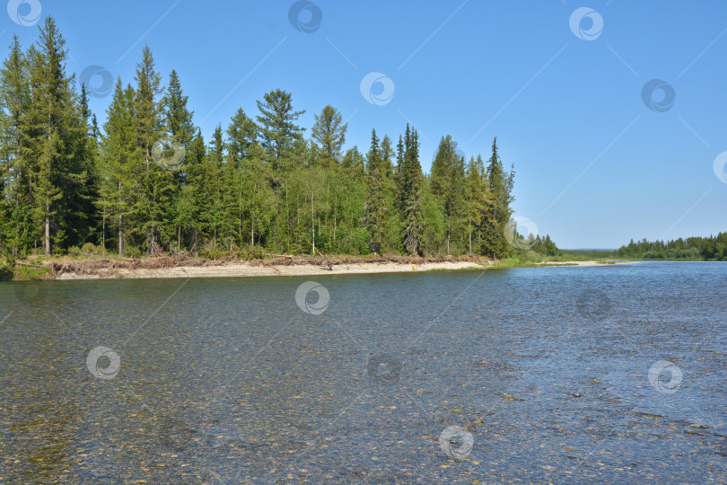 Скачать Река на Полярном Урале. фотосток Ozero