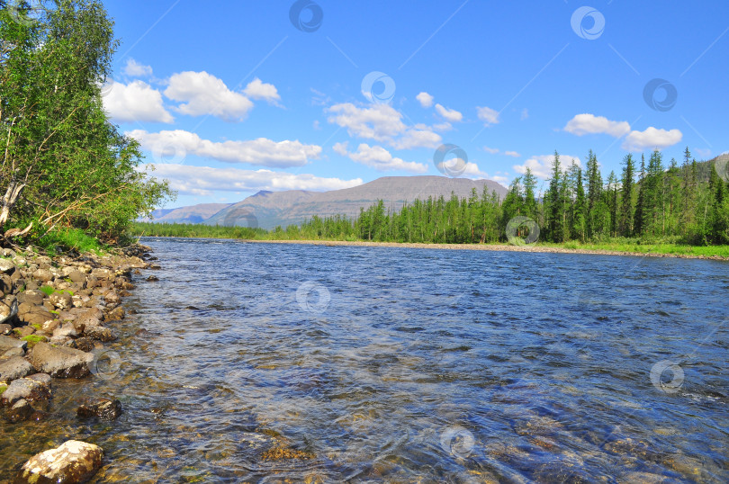 Скачать Галечная река Накта на плато Путорана. фотосток Ozero