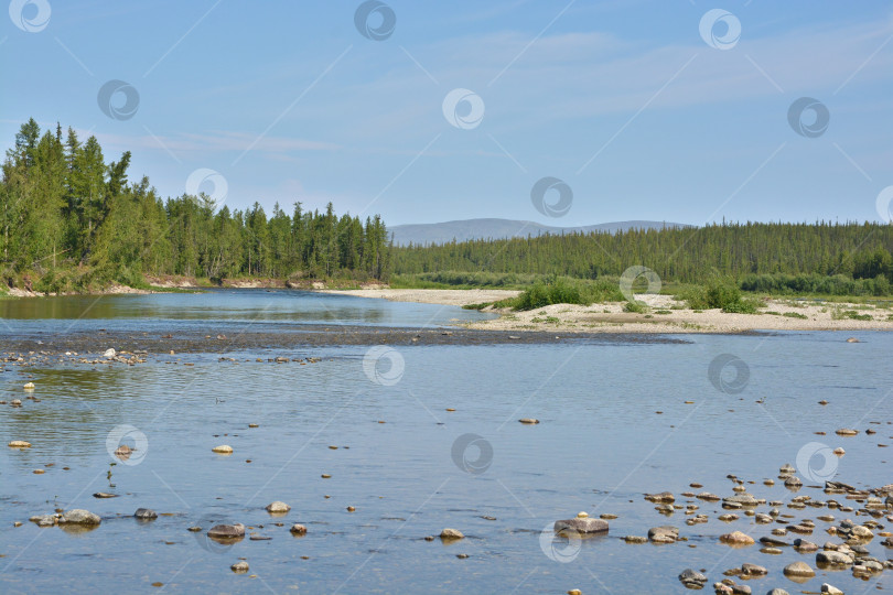 Скачать Река на Полярном Урале. фотосток Ozero