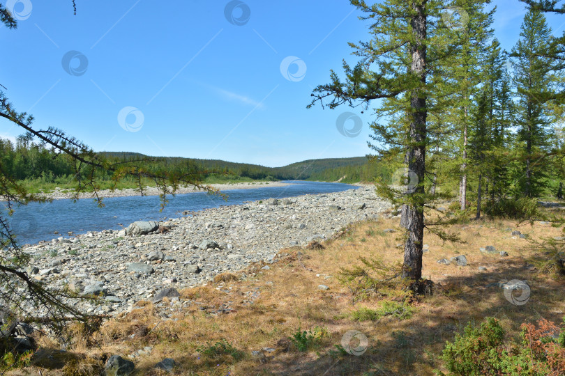 Скачать Река на Полярном Урале. фотосток Ozero