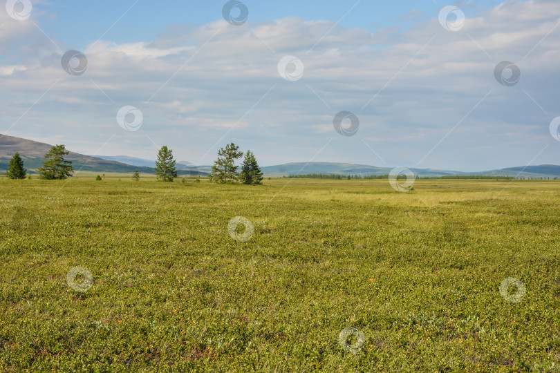 Скачать Предгорная тундра. фотосток Ozero