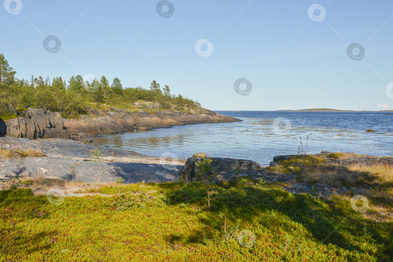 Скачать Побережье Белого моря. фотосток Ozero