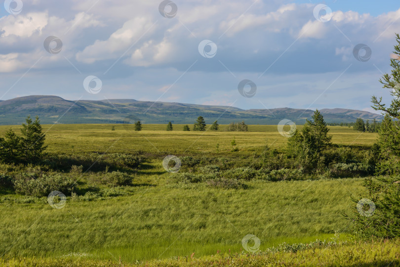 Скачать Предгорная тундра. фотосток Ozero