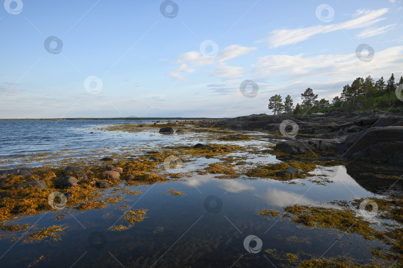 Скачать Побережье Белого моря. фотосток Ozero
