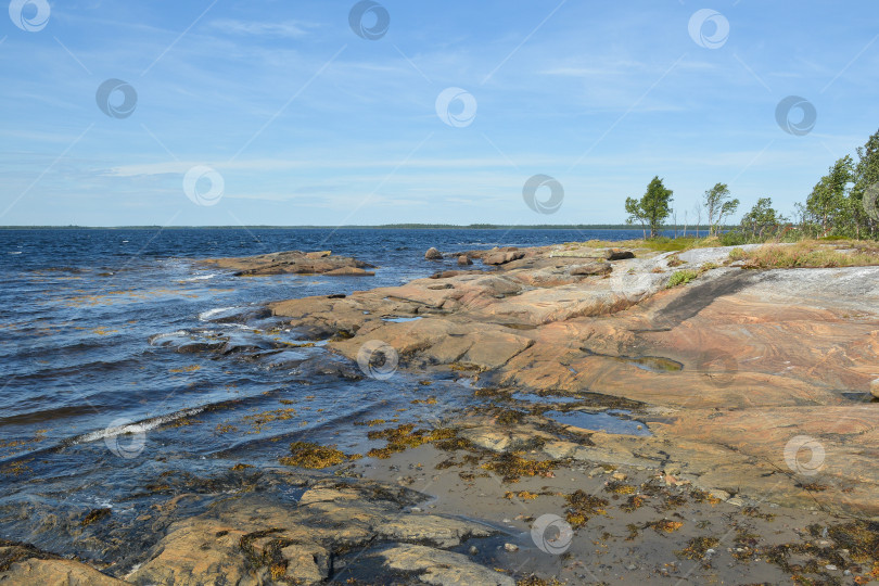 Скачать Побережье Белого моря. фотосток Ozero