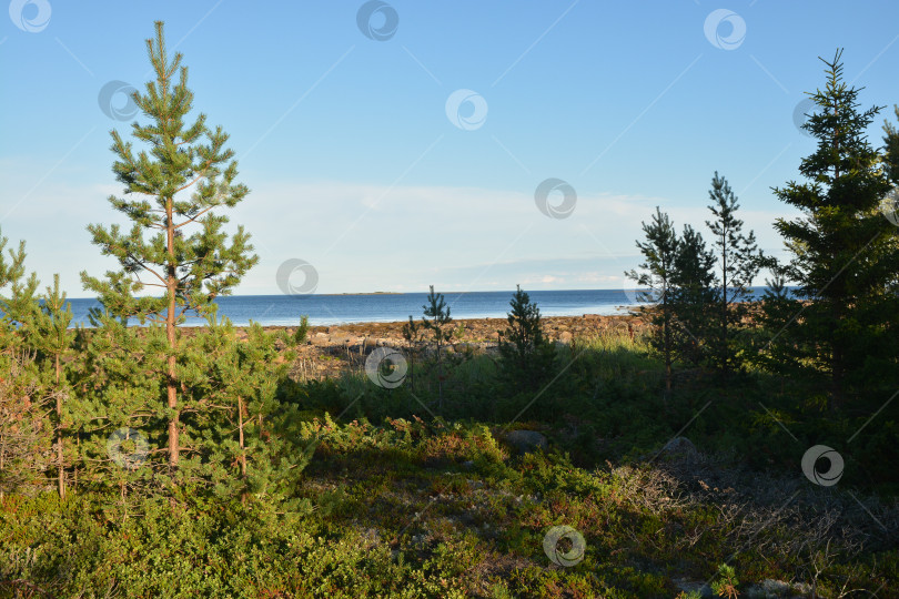 Скачать Побережье Белого моря. фотосток Ozero