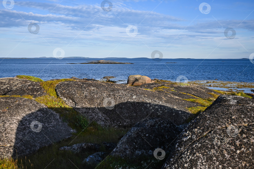 Скачать Побережье Белого моря. фотосток Ozero