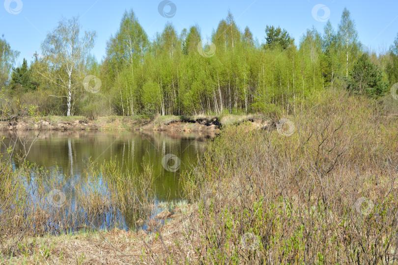 Скачать Живописная река ранней весной. фотосток Ozero