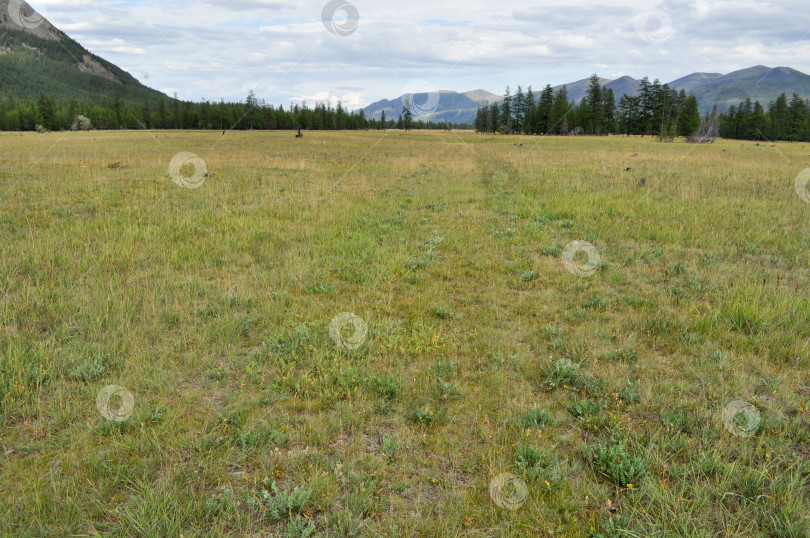 Скачать Луг в долине среди гор Якутии. фотосток Ozero
