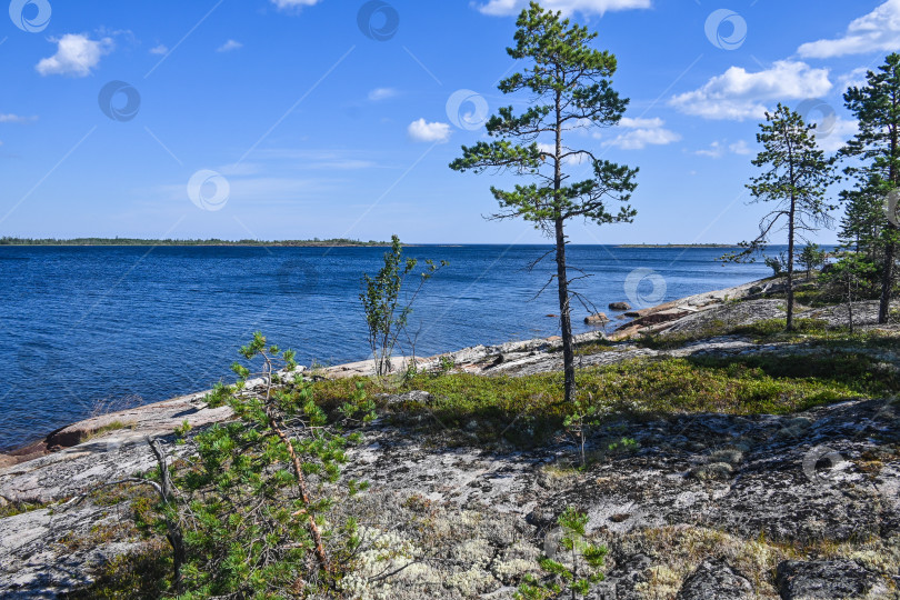Скачать Побережье Белого моря. фотосток Ozero