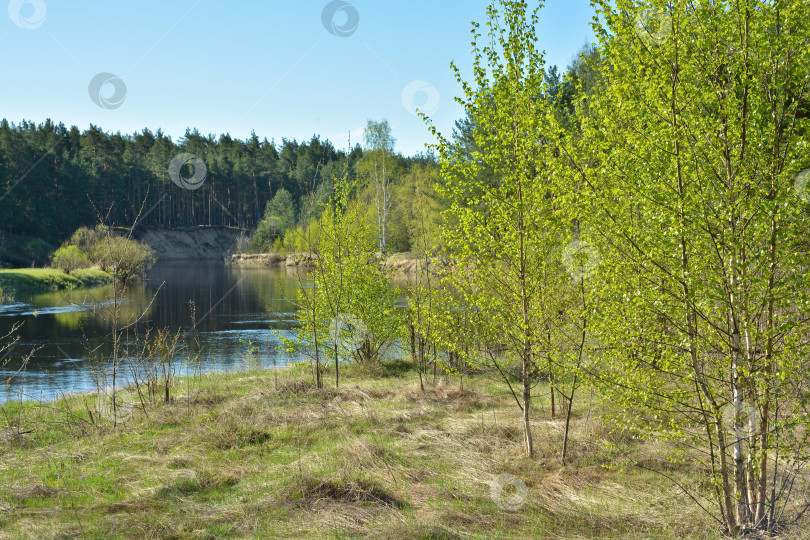 Скачать Начало мая на заповедной реке. фотосток Ozero