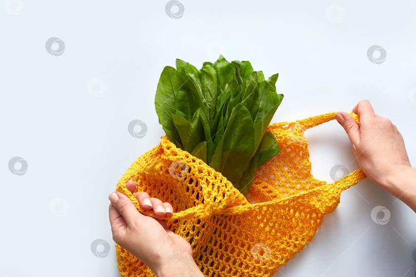 Скачать Руки молодой женщины складывают в хлопковый пакет для продуктов салат. Многоразовая эко-сумка для покупок. Концепция "Ноль отходов". фотосток Ozero