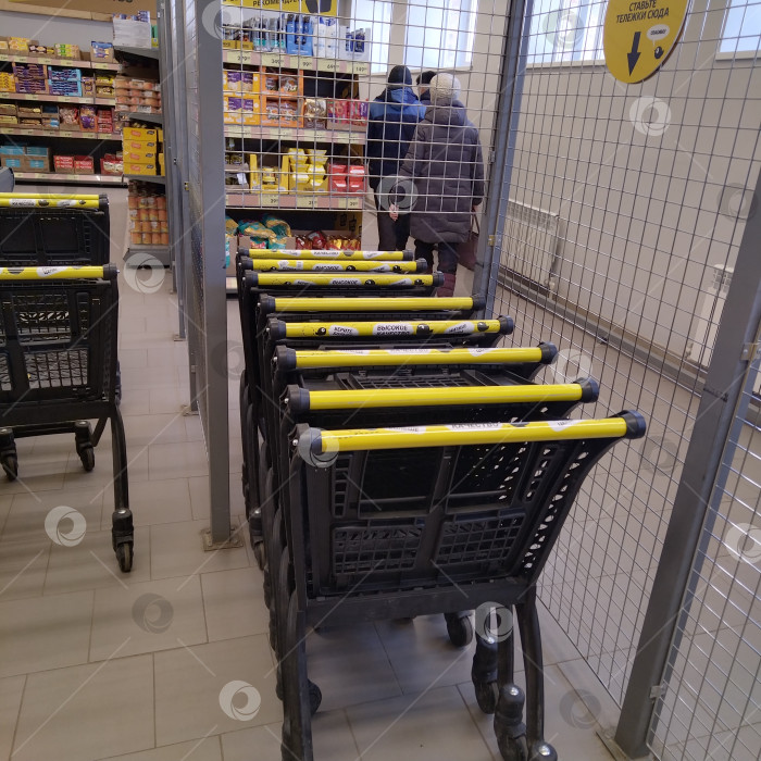 Скачать Тележки в магазине "Чижик". фотосток Ozero
