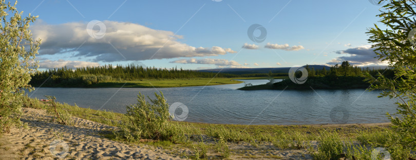 Скачать Летняя панорама реки на Ямале. фотосток Ozero