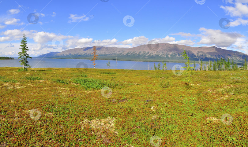 Скачать Панорама горных озер на плато Путорана. фотосток Ozero